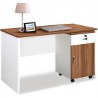 Bradshaw Study Desk with Pedestal